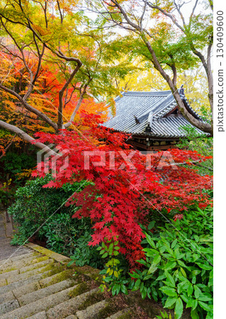 Yamazaki Shoten surrounded by autumn leaves 130409600