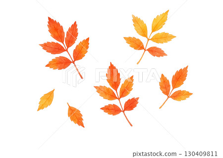 Autumn leaves twig illustration 130409811