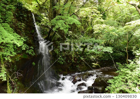 Yugawara Town Manyo Park Yugawara Soyu Loop Road Waterfall Spot and Chitose River 130409830