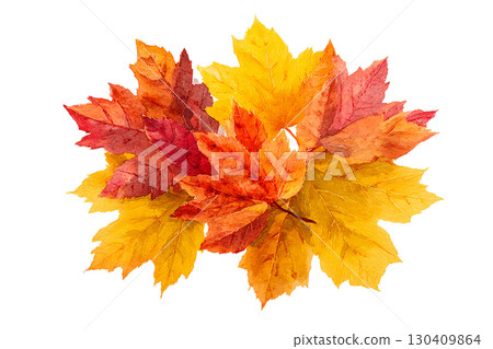 一堆落葉的插圖 130409864