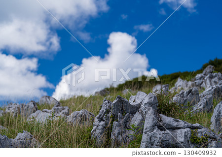 Limestone of Shikoku Karst 130409932