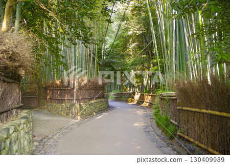 京都嵐山竹林小徑的自然美景 130409989