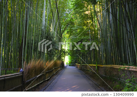 京都嵐山竹林小徑的自然美景 130409990