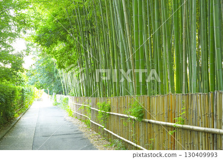 京都嵐山竹林小徑的自然美景 130409993