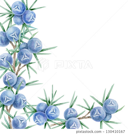 Clustered blue juniper berries and green foliage forming a rectangular watercolor illustration, hand drawn frame suitable for wedding invitations, labels, recipe cards, packaging and digital papers. Clustered blue juniper berries and green foliage forming a rectangular watercolor illustration, hand drawn frame suitable for wedding invitations, labels, recipe cards, packaging and digital papers. 130410167