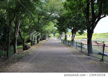 Scenery of Iwatsuki Cultural Park in Saitama City Scenery of Iwatsuki Cultural Park in Saitama City 130410338