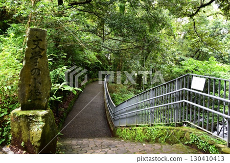 湯河原町萬葉公園湯河原總湯文學之路與新綠 湯河原町萬葉公園湯河原總湯文學之路與新綠 130410413