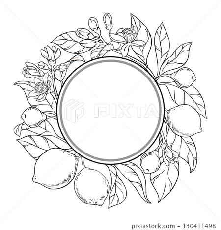 Lime Branch with Fruits Outline Round Frame Lime Branch with Fruits Outline Round Frame 130411498