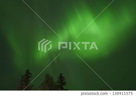 Aurora view from Aurora Village in Yellowknife, Canada Aurora view from Aurora Village in Yellowknife, Canada 130411575