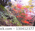 Autumn leaves blooming from the slope like a volcanic eruption 130412377