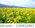 sunflower	 130412463
