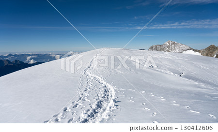 Snow-covered ridge at the summit of Piz Palu offers breathtaking views of the Bernina range in summer. Footprints reveal the adventurous hike up this stunning alpine peak. 130412606