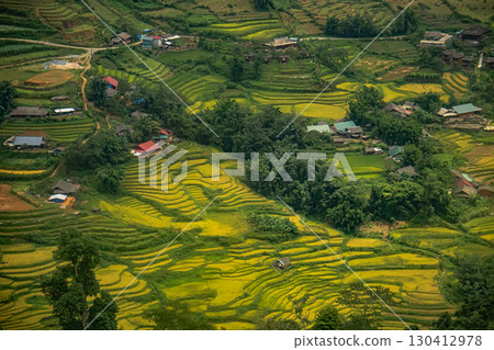 Golden terraced rice fields and village houses in Sapa, Vietnam 130412978