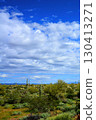 Landscape Sonoran Desert Arizona 130413271