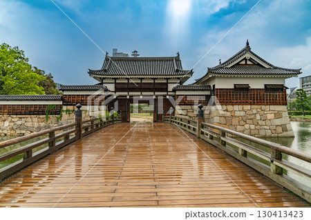 Hiroshima Castle soaked in the rain 130413423