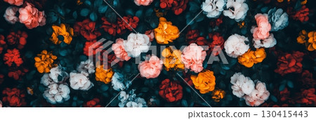 Colorful flowers blooming in spring create a vibrant and romantic atmosphere, perfect for celebrating valentine's day, women's day, or any special occasion Colorful flowers blooming in spring create a vibrant and romantic atmosphere, perfect for celebrating valentine's day, women's day, or any special occasion 130415443