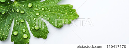 Close up of a vibrant green leaf glistening with water droplets, highlighting freshness and purity against a clean white background, perfect for eco conscious projects 130417378