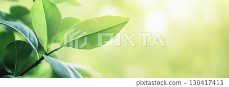 Bright green leaves thrive in soft sunlight, representing nature's vitality and promoting environmental awareness, sustainability, and eco conscious practices 130417413