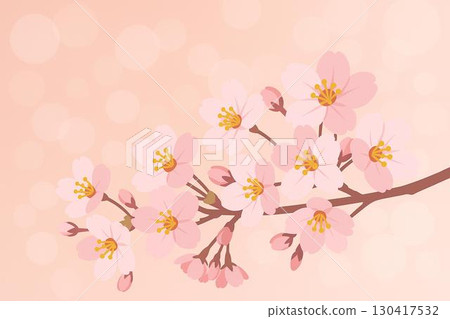 Cherry blossom vector 130417532