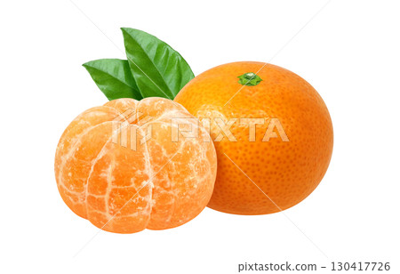 Mandarin orange illustration realistic white background Mandarin orange illustration realistic white background 130417726