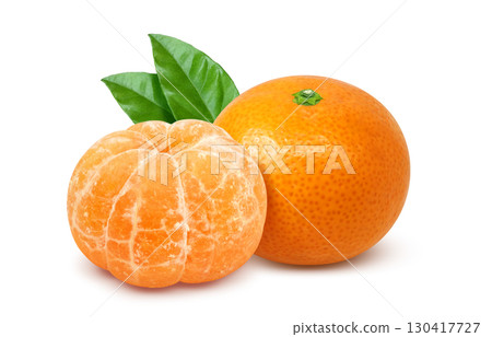 Mandarin orange illustration realistic white background 130417727