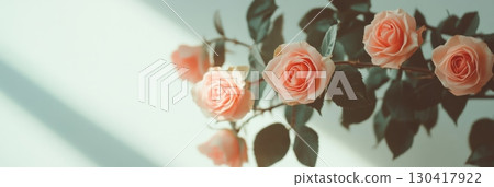 Blooming pink roses on a branch with green leaves, bathed in soft, diffused sunlight, create a serene and romantic atmosphere perfect for celebrations Blooming pink roses on a branch with green leaves, bathed in soft, diffused sunlight, create a serene and romantic atmosphere perfect for celebrations 130417922