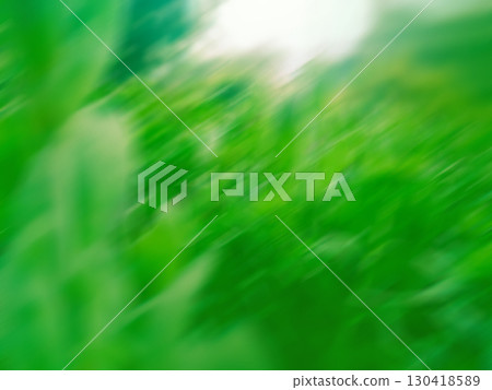 Amazing blur and soft focus field in the garden. Grass field with bokeh sunlight. 130418589