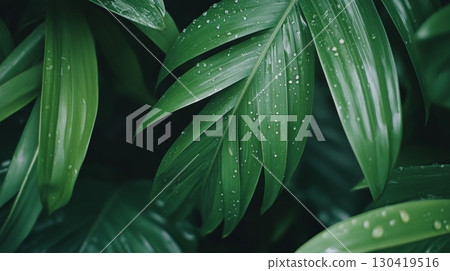 Close up of vibrant green leaves glistening with fresh raindrops, showcasing the beauty of nature after a refreshing rain shower, creating a tranquil and eco friendly atmosphere 130419516
