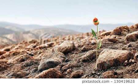 A single orange flower bravely blooms amidst a rocky, arid landscape, symbolizing resilience and hope in harsh conditions A single orange flower bravely blooms amidst a rocky, arid landscape, symbolizing resilience and hope in harsh conditions 130419628
