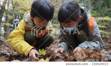 Children observing fallen leaves in the forest | Nature, learning, curiosity, autumn, experience Children observing fallen leaves in the forest | Nature, learning, curiosity, autumn, experience 130420415