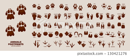 Animals footprint. Silhouette paw prints. Animal foot icon, bird feet track, hoofed feet, amphibian trail, domestic pets, mammal, nature wildlife trace on ground. Vector set 130421276