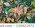 Background of autumn leaves fallen to the ground from trees 130421972