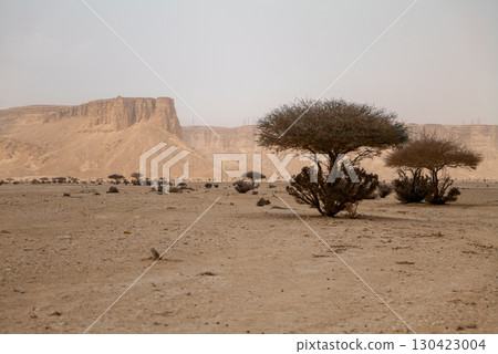 Rocky Desert Landscape with Plateau in Saudi Arabia Rocky Desert Landscape with Plateau in Saudi Arabia 130423004