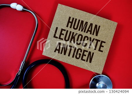 Human Leukocyte Antigen text written on paper card with stethoscope on red background 130424094