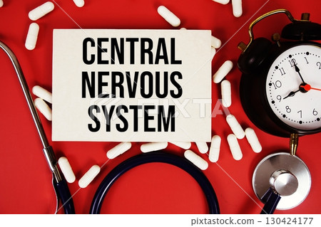 Central Nervous System text written on paper card with stethoscope and alarm clock on red background 130424177