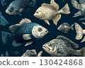 Engraved Fish Illustration 130424868