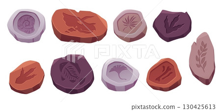 Set of fossil footprints with plant imprints, shells, bones, fish and dinosaur tracks on rocks. 130425613