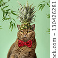 Portrait of a British Shorthair cat wearing a red sequined bow tie and a pineapple top hat. 130426281