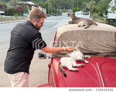 A man stroking a cat on the hood of a red car while another cat rests on the roof. Interaction, affection and everyday life with animals. 130426392