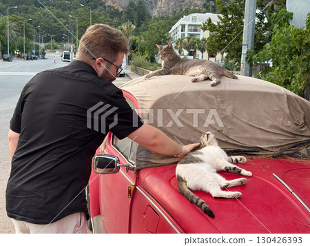 A man stroking a cat on the hood of a red car while another cat rests on the roof. Interaction, affection and everyday life with animals. 130426393