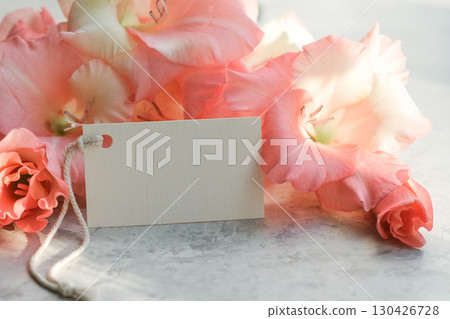 Delicate pink gladiolus flowers with blank tag in sunlight. Perfect for text, logos or greeting cards Delicate pink gladiolus flowers with blank tag in sunlight. Perfect for text, logos or greeting cards 130426728