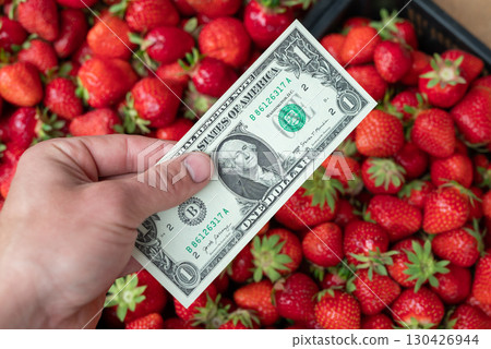 American one dollar bill in hand of a man, fresh ripe strawberries on the background. Selling berries, fruits and vegetables from own garden, earning money on gardening concepts American one dollar bill in hand of a man, fresh ripe strawberries on the background. Selling berries, fruits and vegetables from own garden, earning money on gardening concepts 130426944