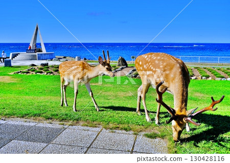 大豆海角的風景 大豆海角的風景 130428116