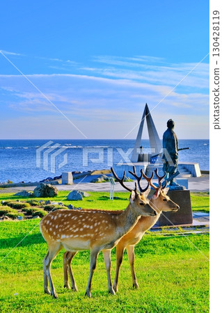 Scenery of Soya Cape 130428119