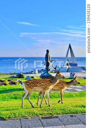 大豆海角的風景 大豆海角的風景 130428120