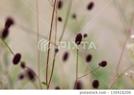 Bite Bite 130428200