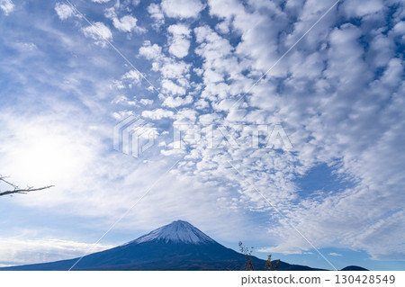 【富士山素材】深秋時節從紅葉觀賞台看到的白雪皚皚的富士山和鱗狀雲朵【山梨縣】 130428549