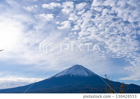 [Mount Fuji Material] Snow-capped Mount Fuji and scaly clouds seen from the autumn leaves viewing platform in late autumn [Yamanashi Prefecture] 130428553