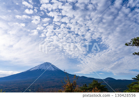 【富士山素材】深秋時節從紅葉觀賞台看到的白雪皚皚的富士山和鱗狀雲朵【山梨縣】 130428556