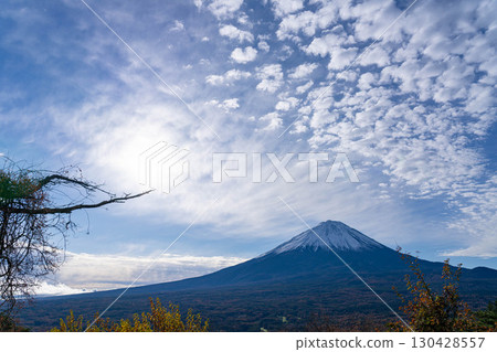 【富士山素材】深秋時節從紅葉觀賞台看到的白雪皚皚的富士山和鱗狀雲朵【山梨縣】 130428557
